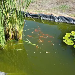 La Barca In Secca Casa di campagna Olmedo